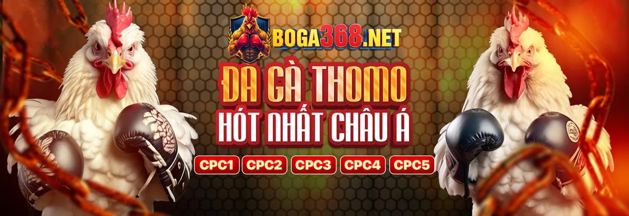 Điểm nổi bật của Nhật VIP đá gà